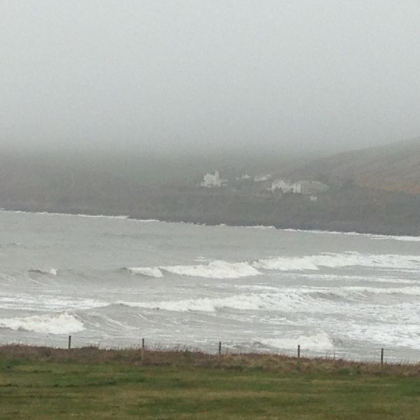 Surf Report
