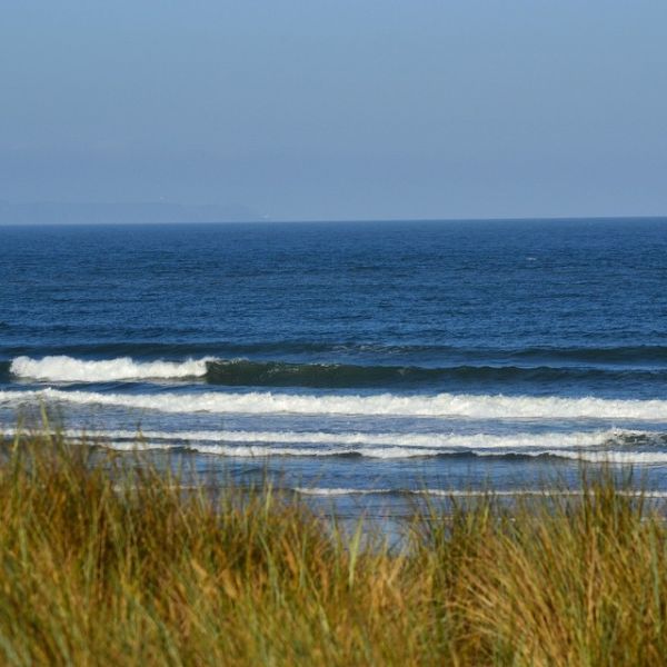 Croyde Surf Report