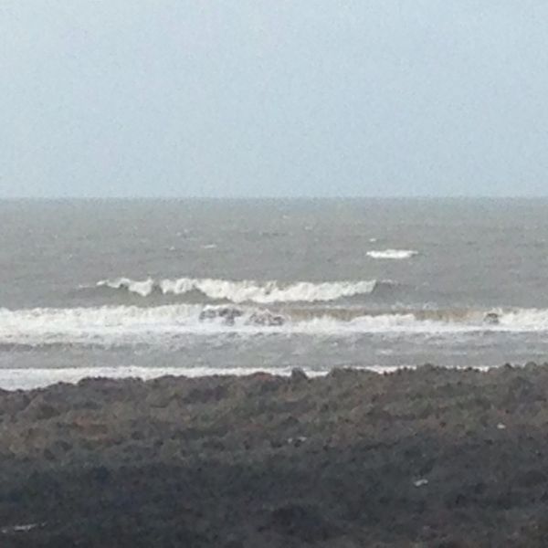 Surf Report