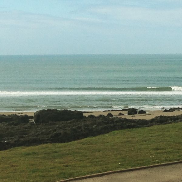 Surf Report
