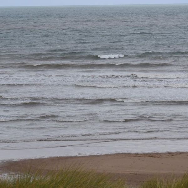 Croyde Surf Report